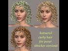 katsaro2 thicker curly hair 