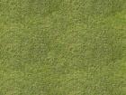 Tileable GRASS 04