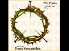 Crown of Thorns with Nails