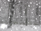 Snow on your Desktop