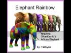 Elephant Rainbow