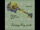 Spring Key for 2008