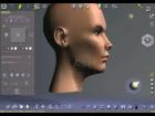 Transform a 3D model with QUIDAM