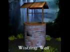 Wishing Well