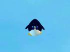 Pipi the Penguin III