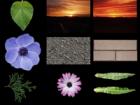 Free Texture Pack