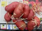 Potatoes red