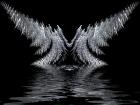 Angel Wings