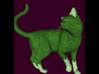 Green Kitty