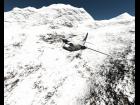 Mountain Flight