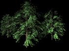 High-poly trees