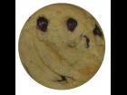 Chocolate Chip Cookie Texture 512x512 JPG