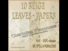 10_Beige Leaves-Papers_Set-001_TEX