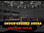 underground arena