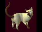 Siamese texture for mil cat and le