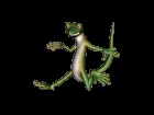 Gecko Running PNG for tubes