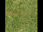 Grass 1 Seamless