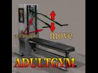 adultgym