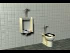 Public Toilet & Urinal