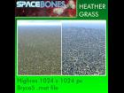 Heather Grass