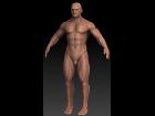 ZBrush Body