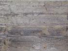 Wood Texture