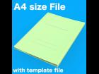 A4size File