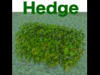 Hedge