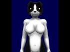 Border Collie Texture Set for Krystal