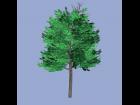 3d-tree-03