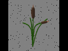 Cattails