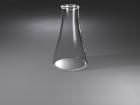 Labware Models - Conical Flask