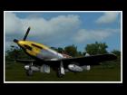 P-51D Mustang