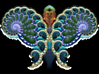 Fractal Butterfly