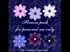 flowers pack 3