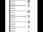 Height Scale