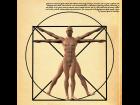 Vitruvian man ( poser version )