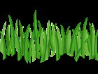 Grass .png for tubes