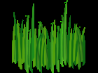 Grass .png for tubes