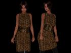 Pretty Dress Texture 04