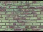 LichenBrickWall