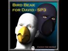 Bird Beak for David-SP3