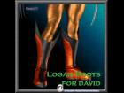 Logan Boots for David