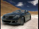 MERCEDES SLK ROADSTER 2008 v4