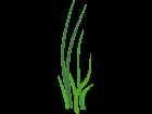 Grass .png for tubes