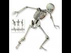 Bare Bones (Free Edition)