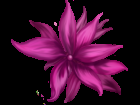 Pink flower Graphic