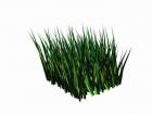 Grass Square