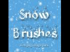 Snow Brushes