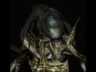 swidhelms predalien RU